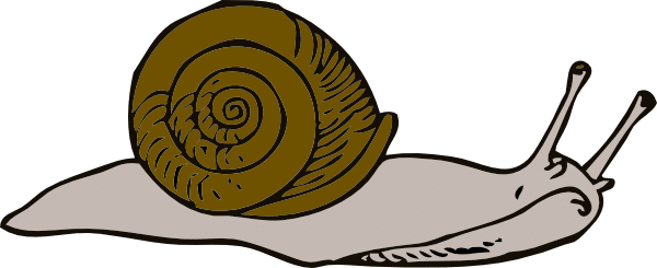 08-11 razones porque tu página web no vende