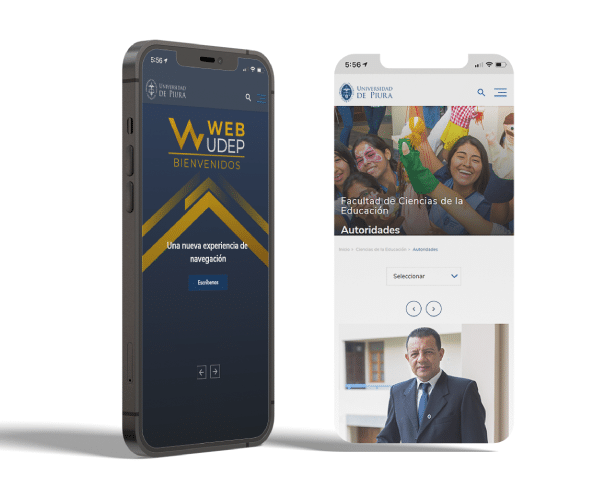 que es diseño de pagina web