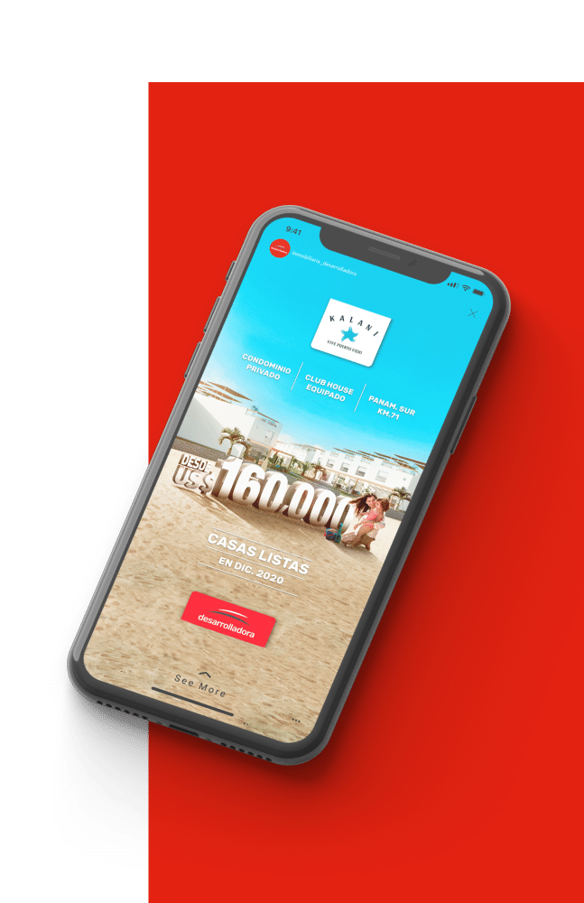 Desarrolladora vista celular