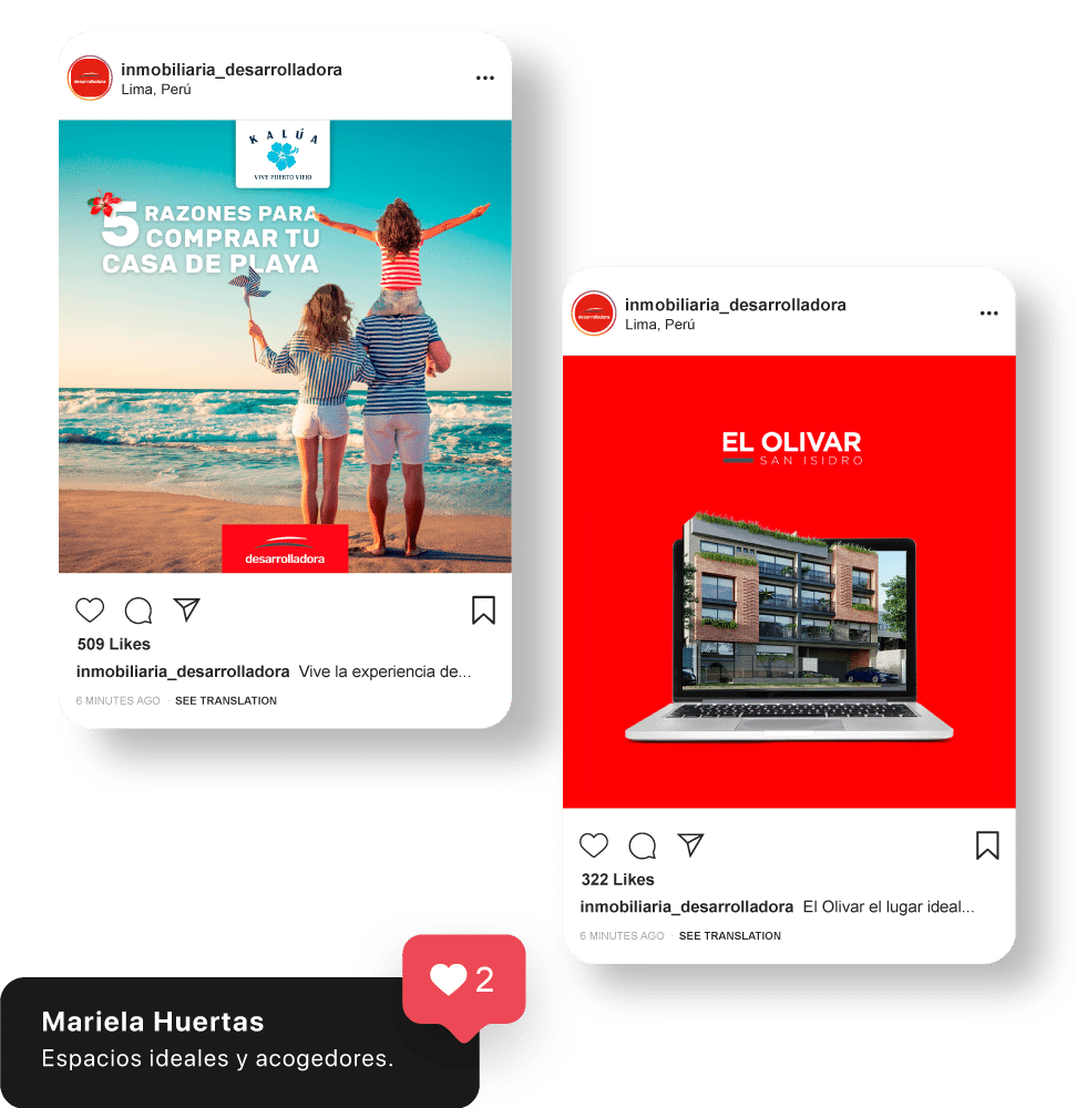 Desarrolladora redes post