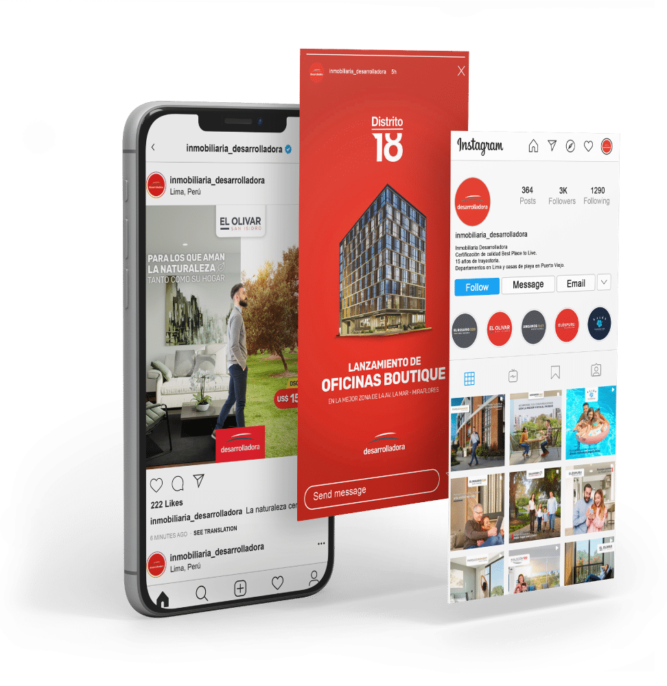 Desarrolladora instagram