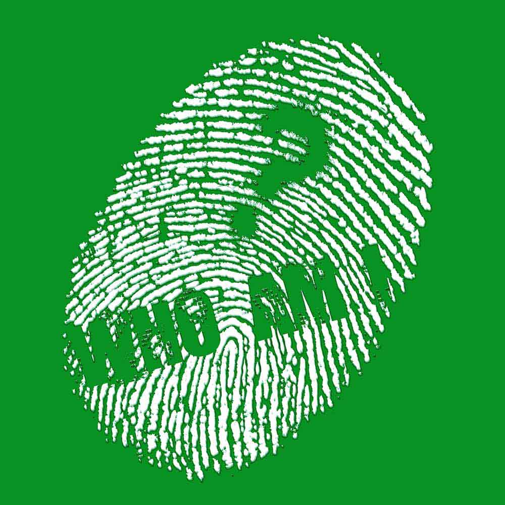 lineas curvas diseño