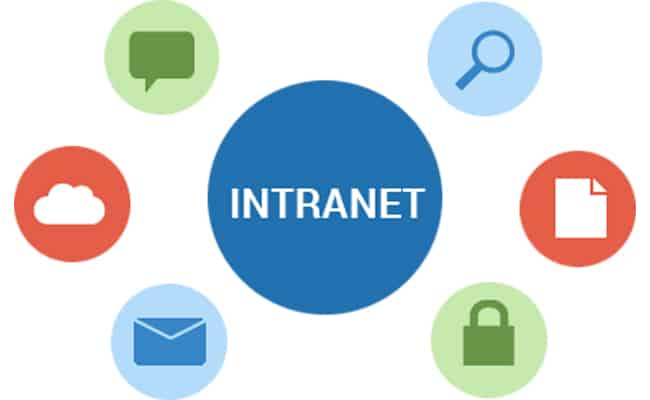 lineas curvas diseño