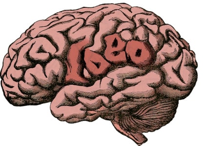 lineas curvas diseño