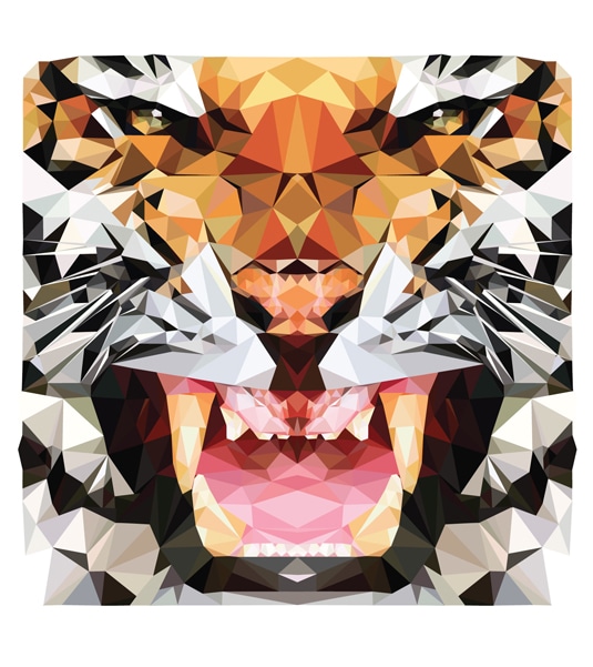 patrones-gloriosos-diseño-6